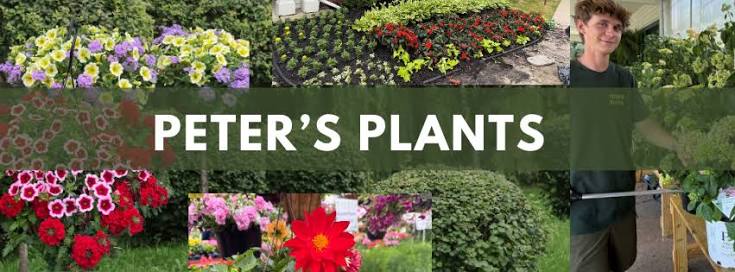 Collage of colorful flowers and gardening scene