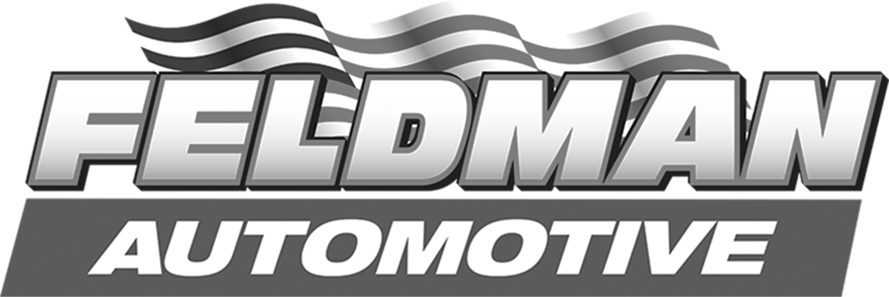 feldman logo feldman logo