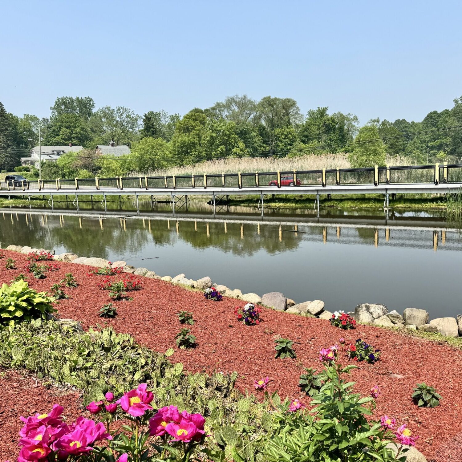 Garden with blooming flowers by a reflective pond.